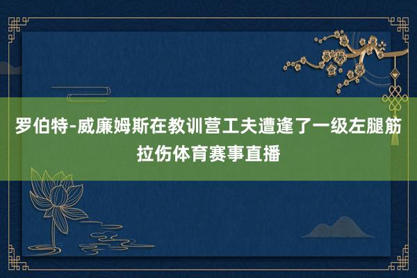 罗伯特-威廉姆斯在教训营工夫遭逢了一级左腿筋拉伤体育赛事直播