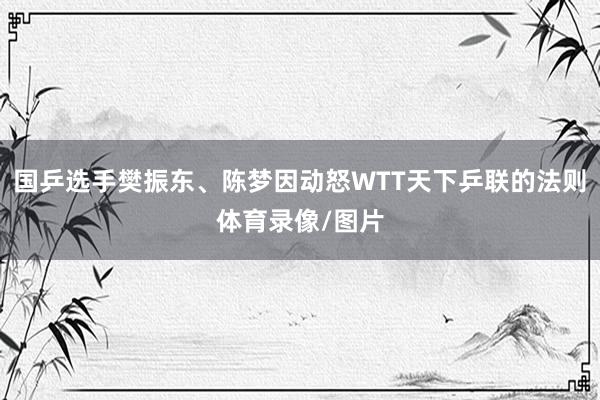 国乒选手樊振东、陈梦因动怒WTT天下乒联的法则体育录像/图片